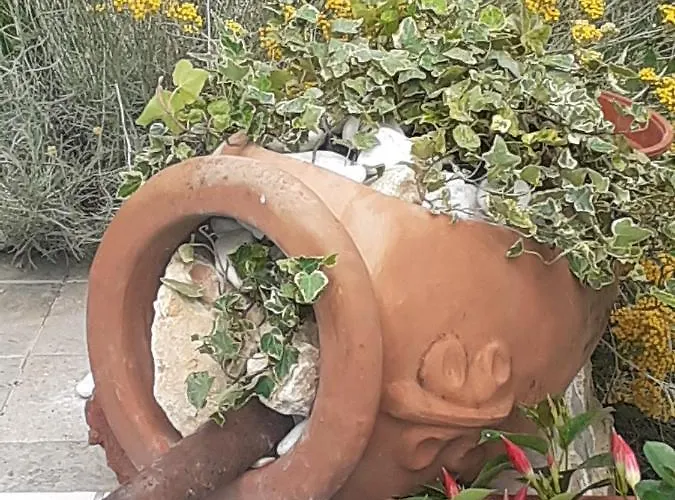 Impronta Di Gaia 펜션 푀아노델라키아나