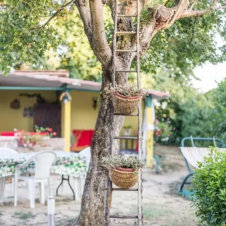 Σπίτι διακοπών Impronta Di Gaia Foiano Della Chiana