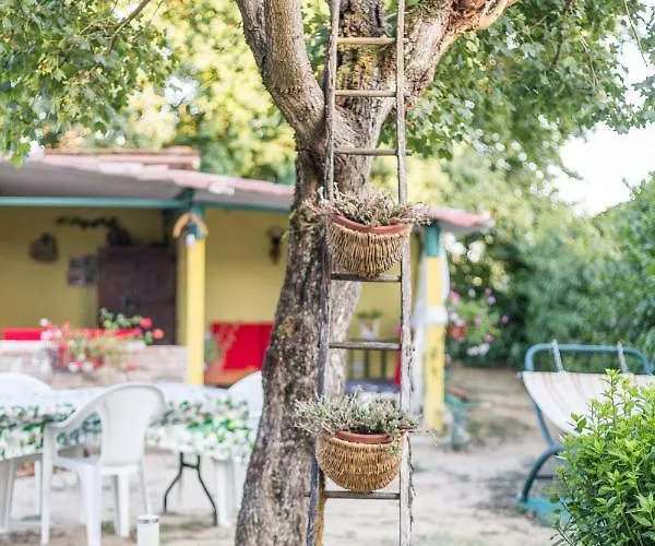 Holiday home Impronta Di Gaia Foiano Della Chiana